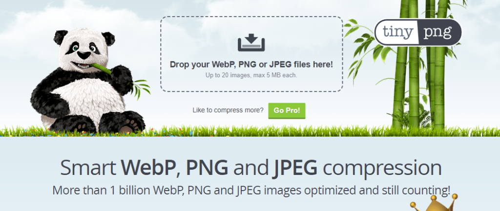 Tiny PNG