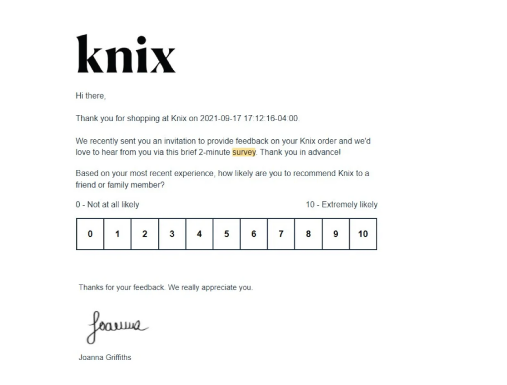 customer survey example